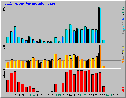 Daily usage for December 2024