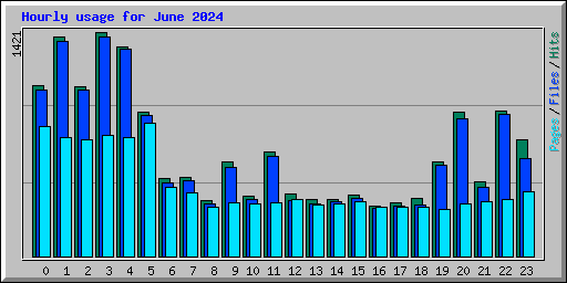 Hourly usage for June 2024