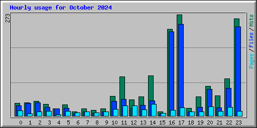 Hourly usage for October 2024