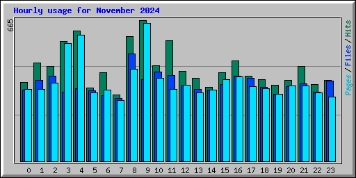 Hourly usage for November 2024