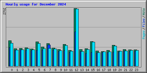 Hourly usage for December 2024