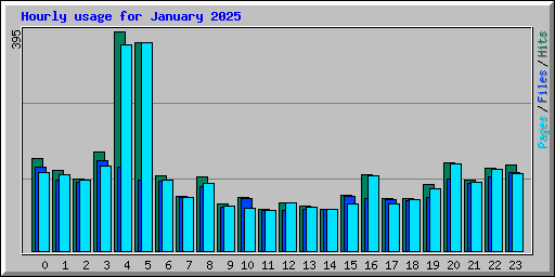 Hourly usage for January 2025