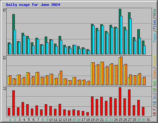 Daily usage for June 2024