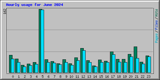 Hourly usage for June 2024