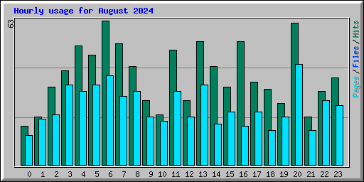 Hourly usage for August 2024